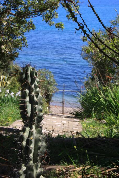 the path to the beach