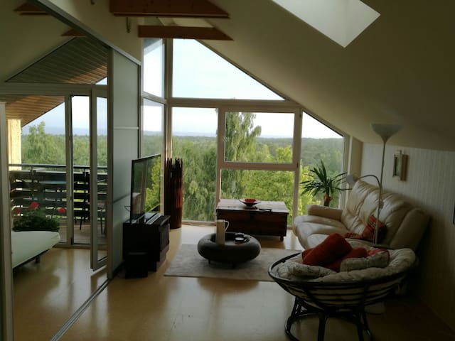Cozy apartment with sea and forest panorama