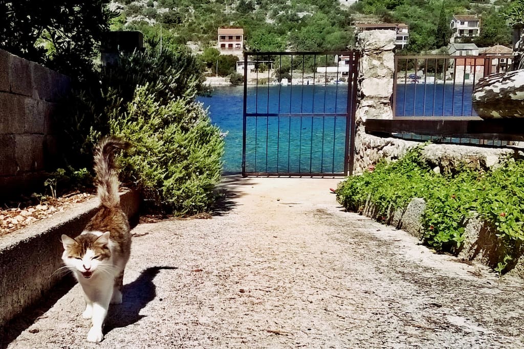 Entrance to the property, just few steps from the beach