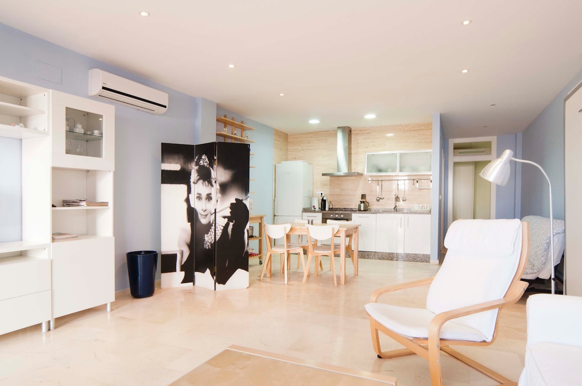 סלון מרווח ומטבח.