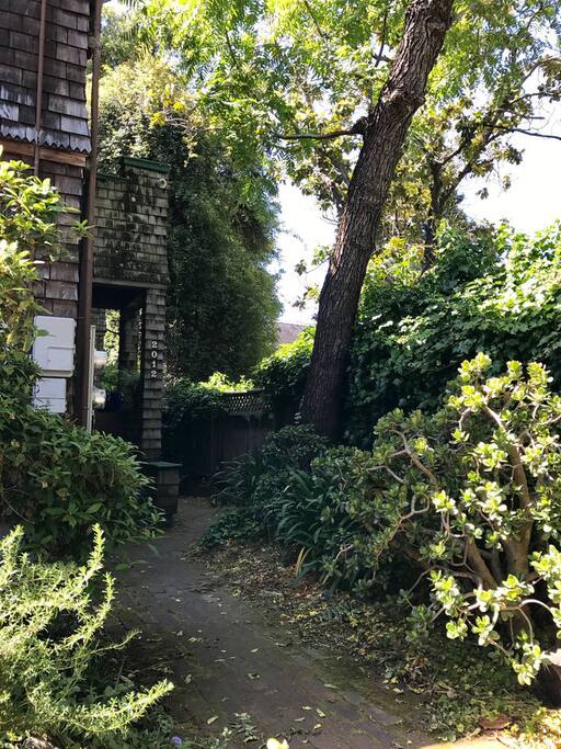Front Pathway
