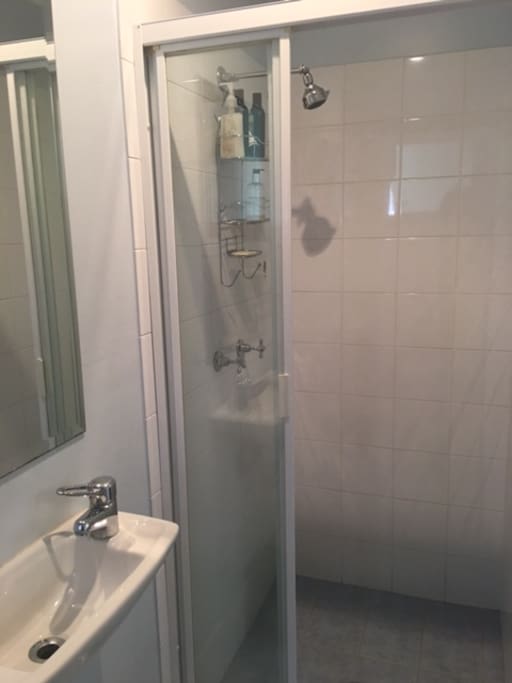 Adjoining shower and toilet