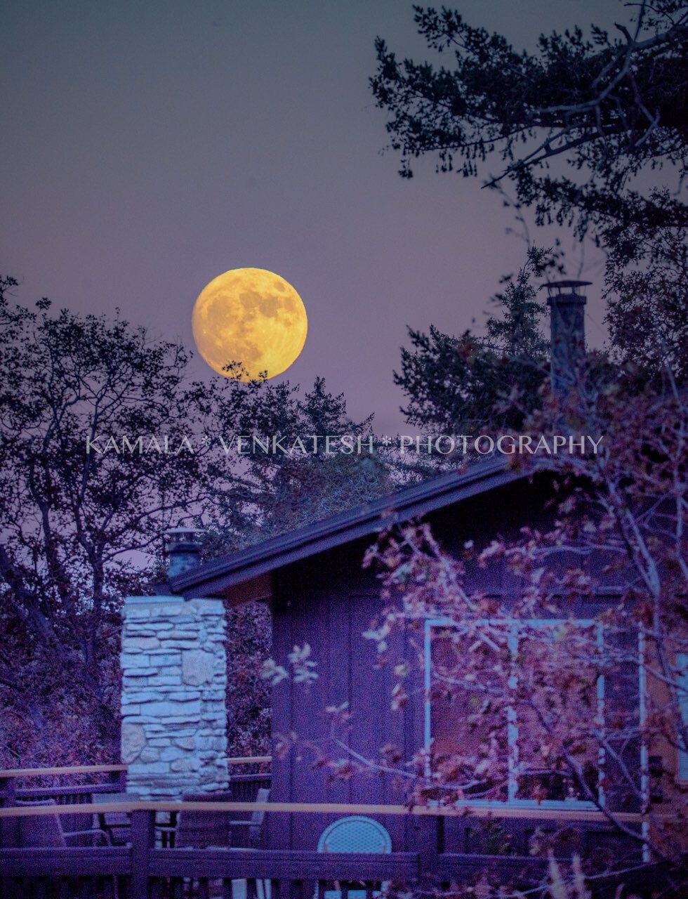 A round, bright moon is seen rising over a cabin at dusk, framed by silhouettes of trees and the warm tones of the wooden structure. The tranquil outdoor setting is enhanced by subtle details of nature, creating a serene atmosphere.