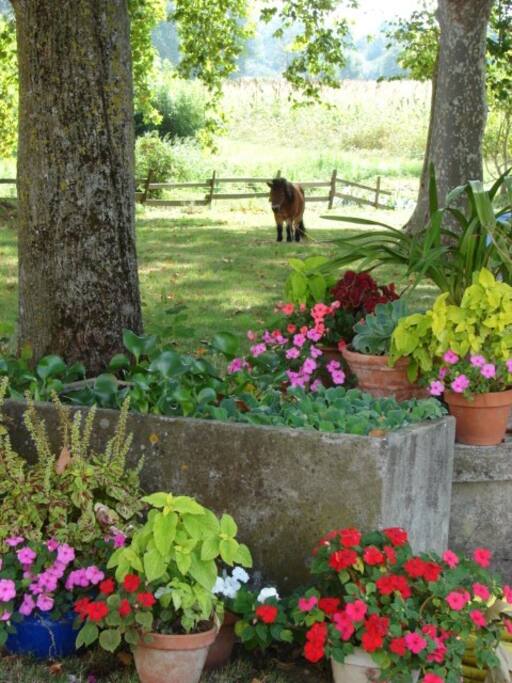 La Gène côté jardin