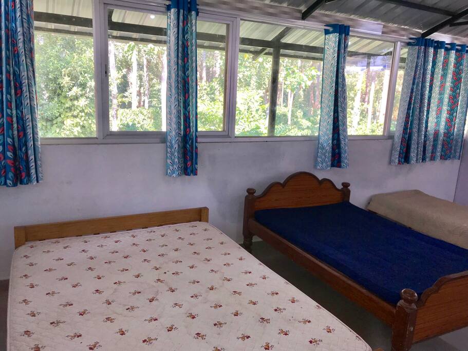Room with full glass fabricated with lush green views