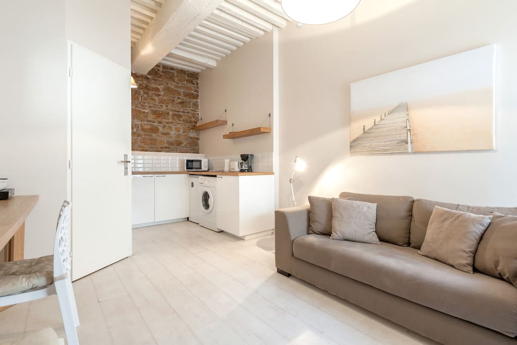 The living room with convertible sofa