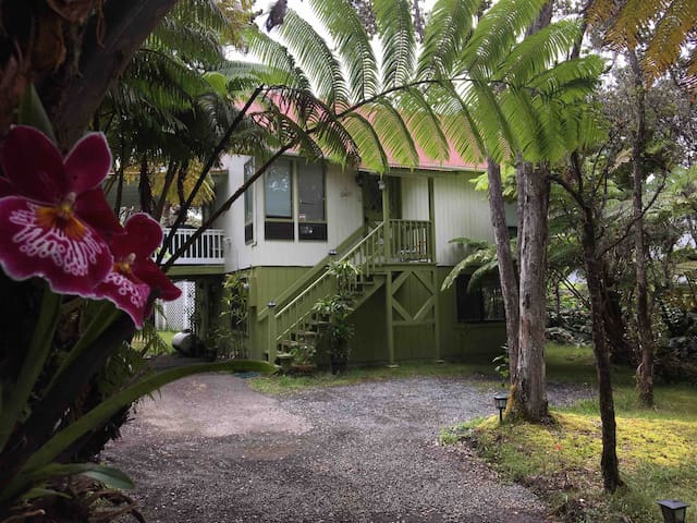 Airbnb Volcano Ferienwohnungen Unterkunfte Hawaii