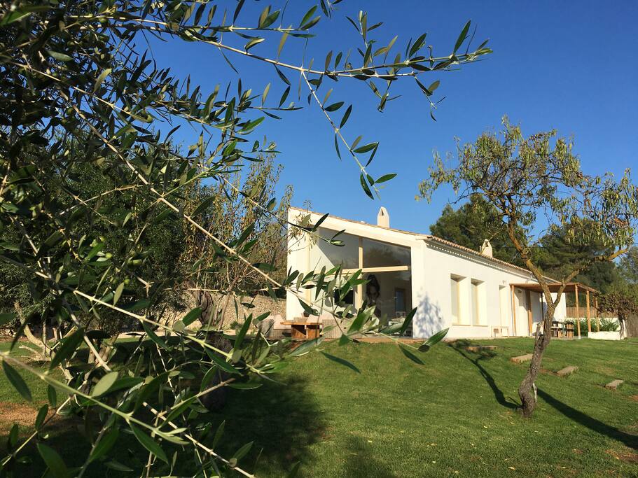 House from the outside