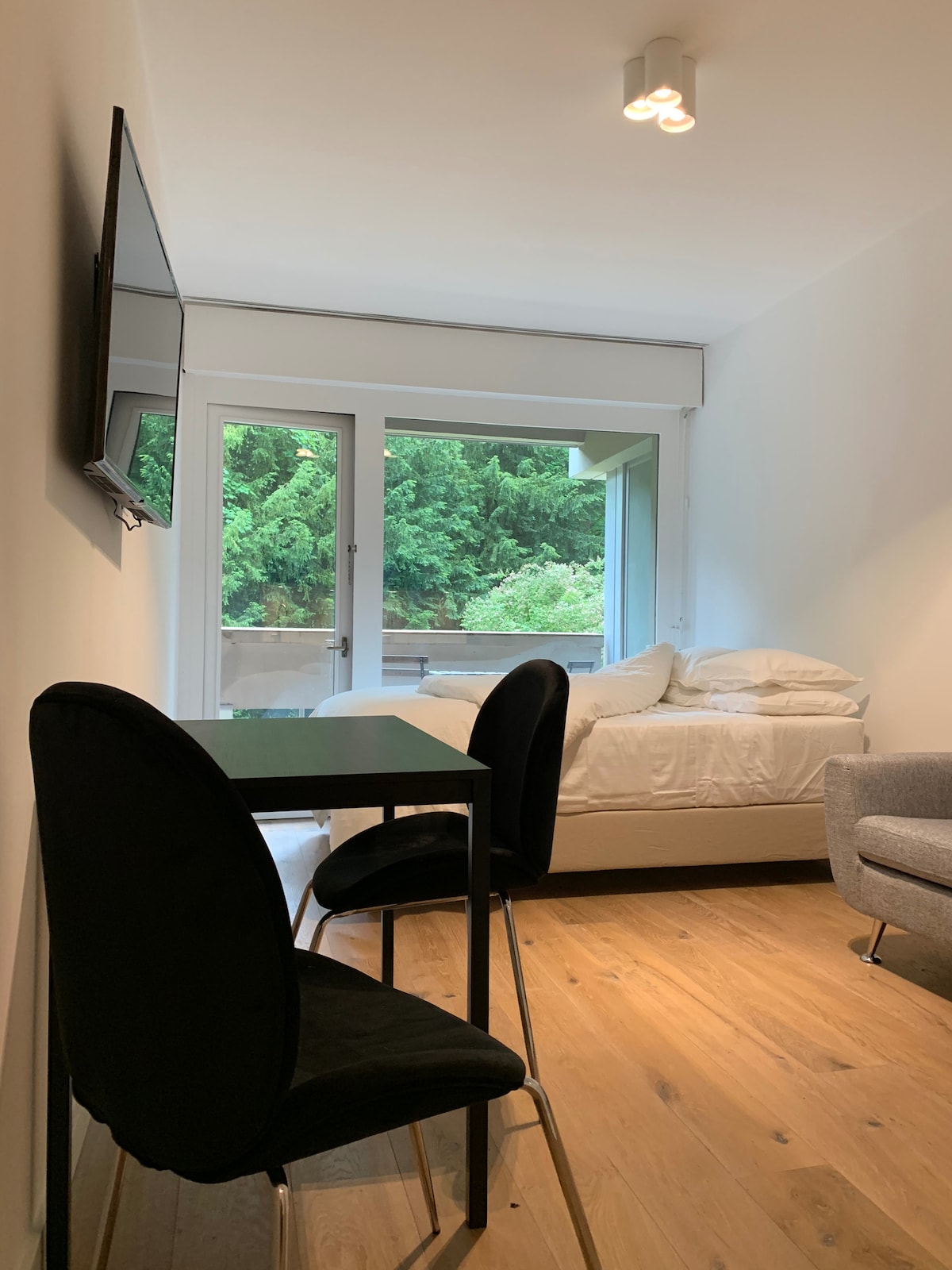 Successful Airbnb property: New & Modern Studio - Central Geneva '2 in Champel