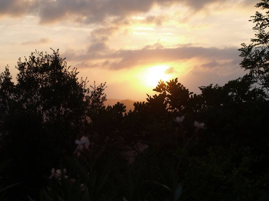Sunset