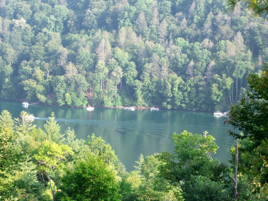 lake view from cabin