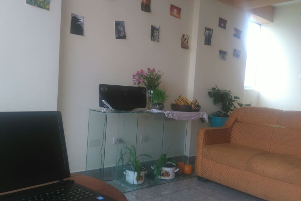 La sala del departamento