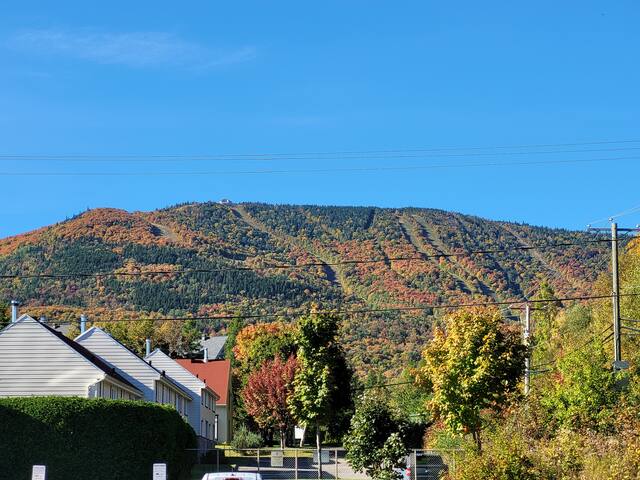 listing_image
