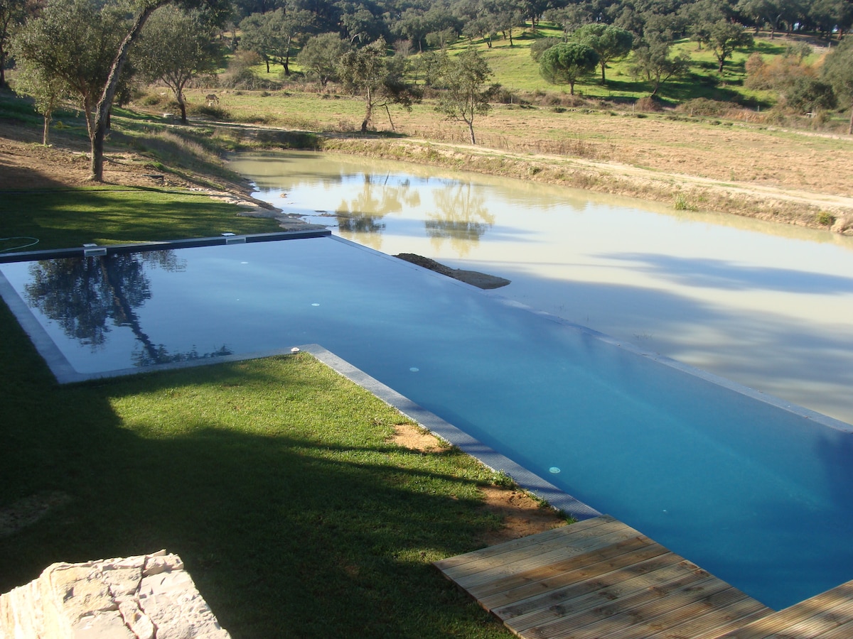 An infinity pool merges with the landscape, reflecting the surrounding greenery. The pool area is bordered by well-maintained grass, and a wooden deck extends towards the water's edge. In the distance, trees and fields create a serene rural backdrop.