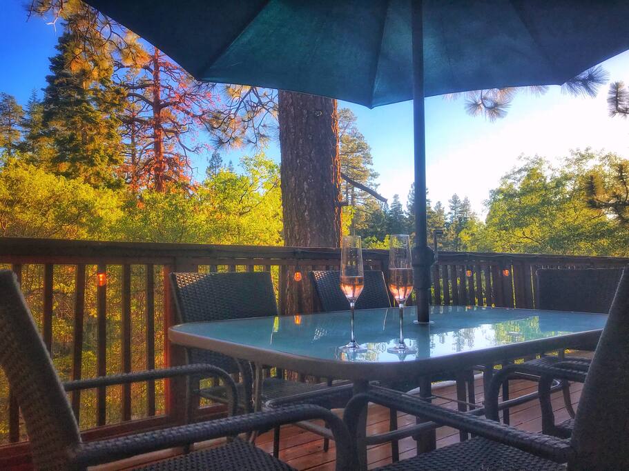 Sip bubbly or share a meal with your loved ones while enjoying the sites and sounds of the forest.