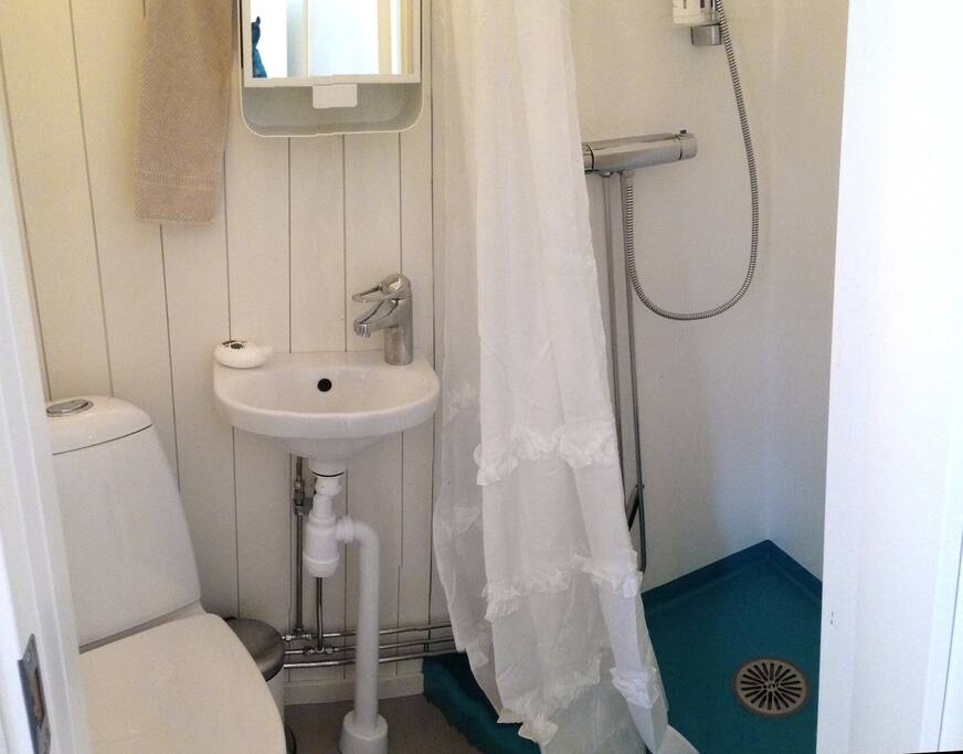 The toilet with shower.