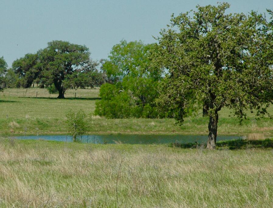 Two Lakes