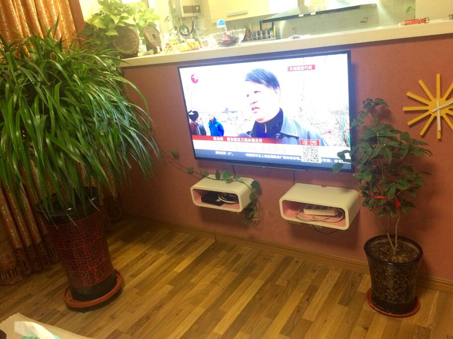 客厅