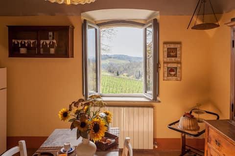 Top performing Airbnb: Le Rondini - where it all began in Gaiole In Chianti