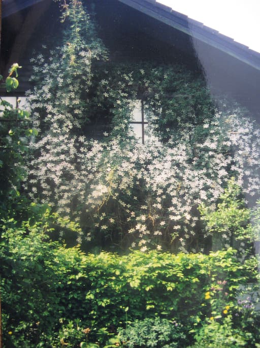 Rückseites des Hauses