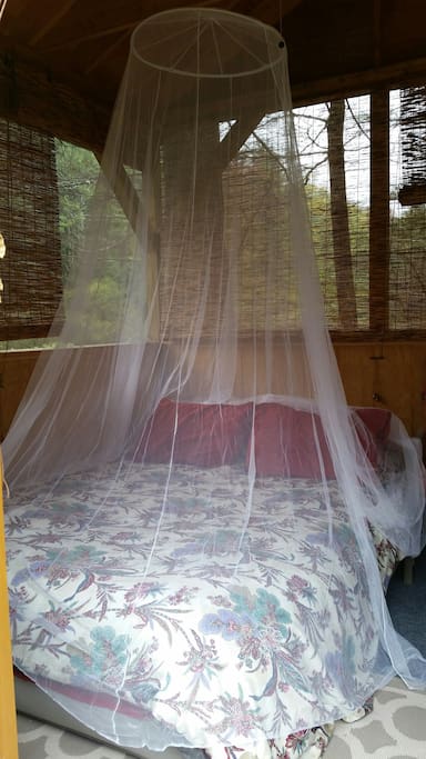 Inside the love dreaming nest