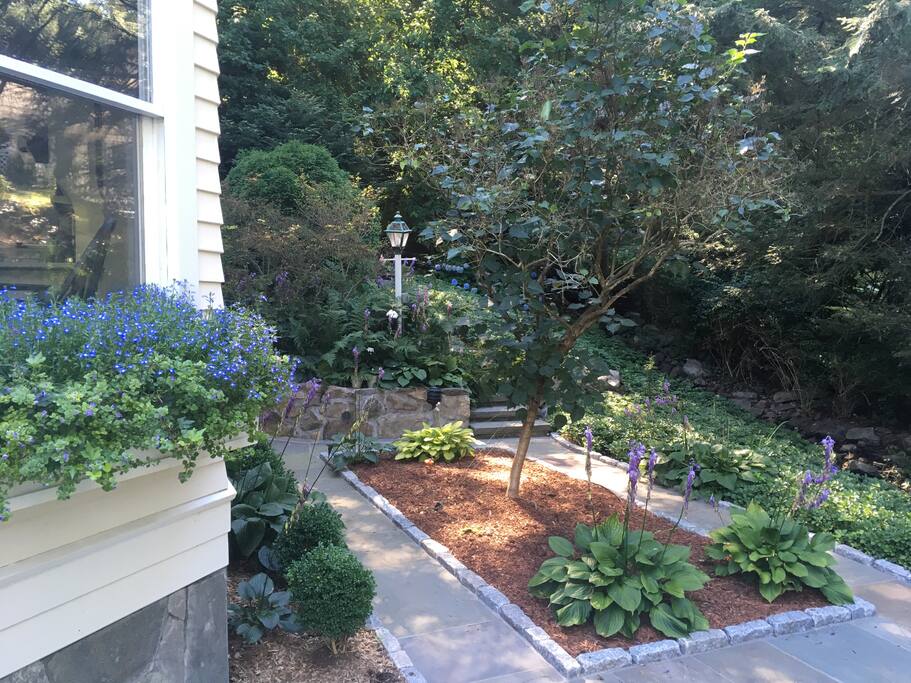 Walkway leading up to the Cottage
