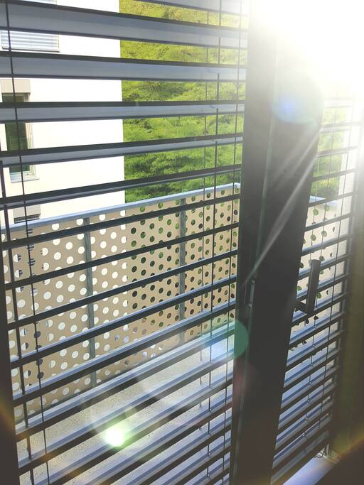 BALCONY WITH JUNGLE VIEW ! There is running /walking healthy road behind the building with private access .