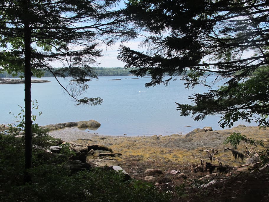 View of the river from the bench