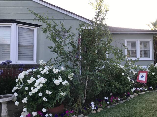 Charming Traditional gallery image 3