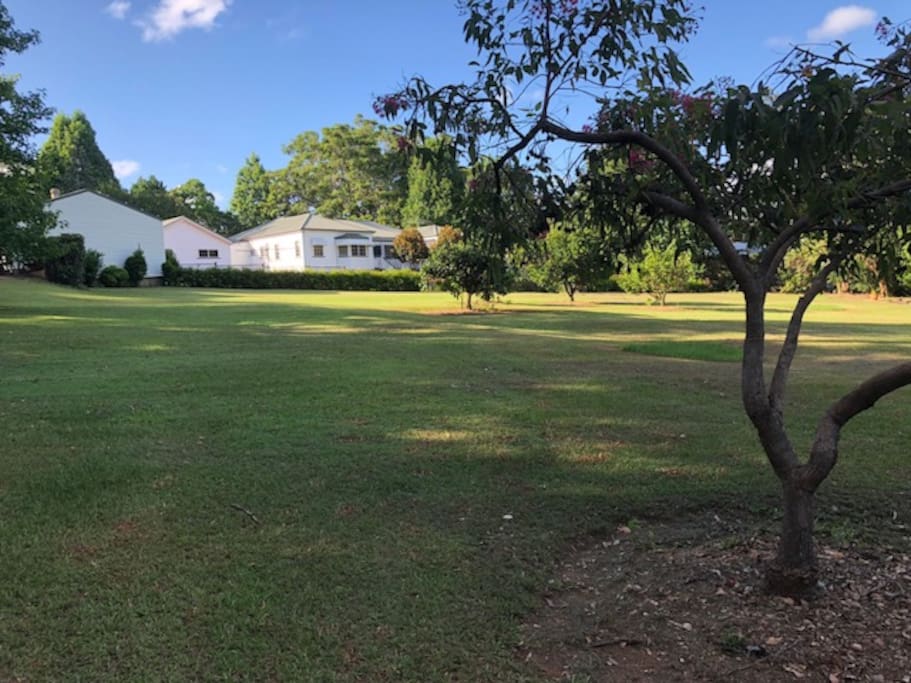 Rolling open area - 3 acres for fun and relaxation.