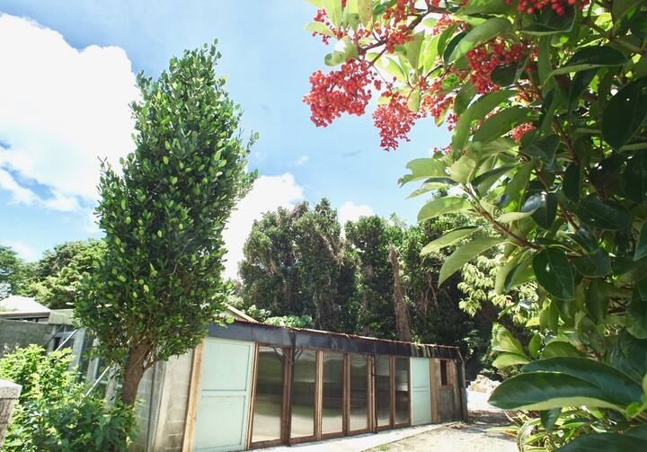 1500 の貸切別荘 Walkers Nakijin Houses For Rent In Nakijin Son Kunigami Gun Okinawa Ken Japan