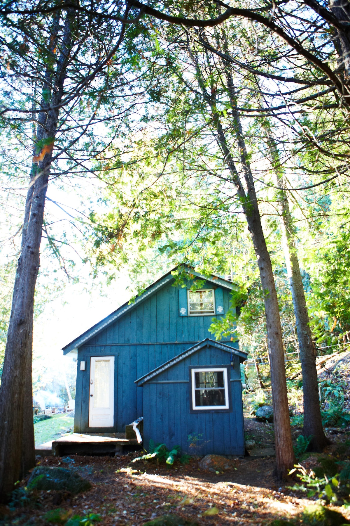 A charming blue chalet is nestled among tall trees, offering a sense of seclusion. Natural light filters through the foliage, illuminating the front porch and inviting entrance, which features a simple white door. The surrounding natural landscape enhances the cabin's tranquil appeal.