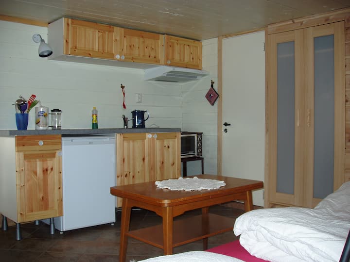 Self catering 1room apartment Apartments for Rent in Bergen