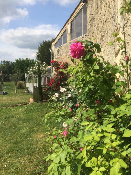rosiers, lavandes et lilas vous accueillent selon la saison
