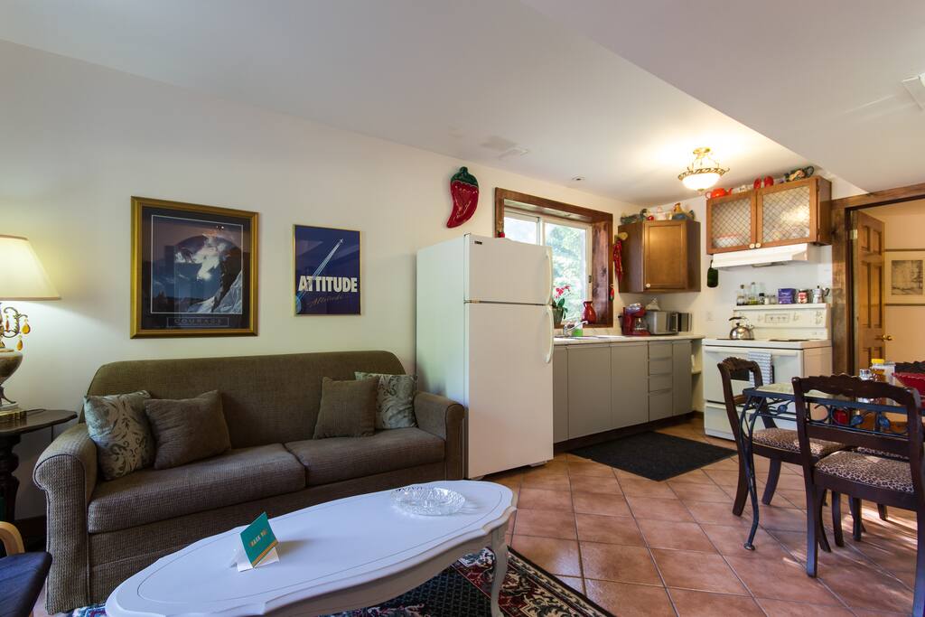 living and kitchen combo
