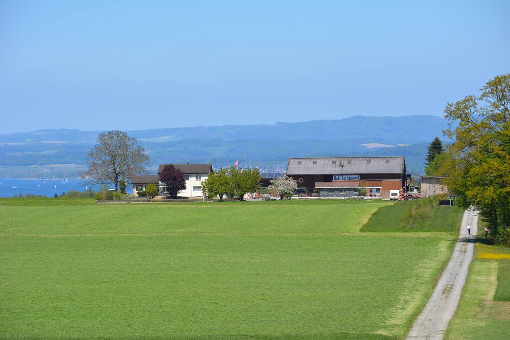 Hof-Tschannen