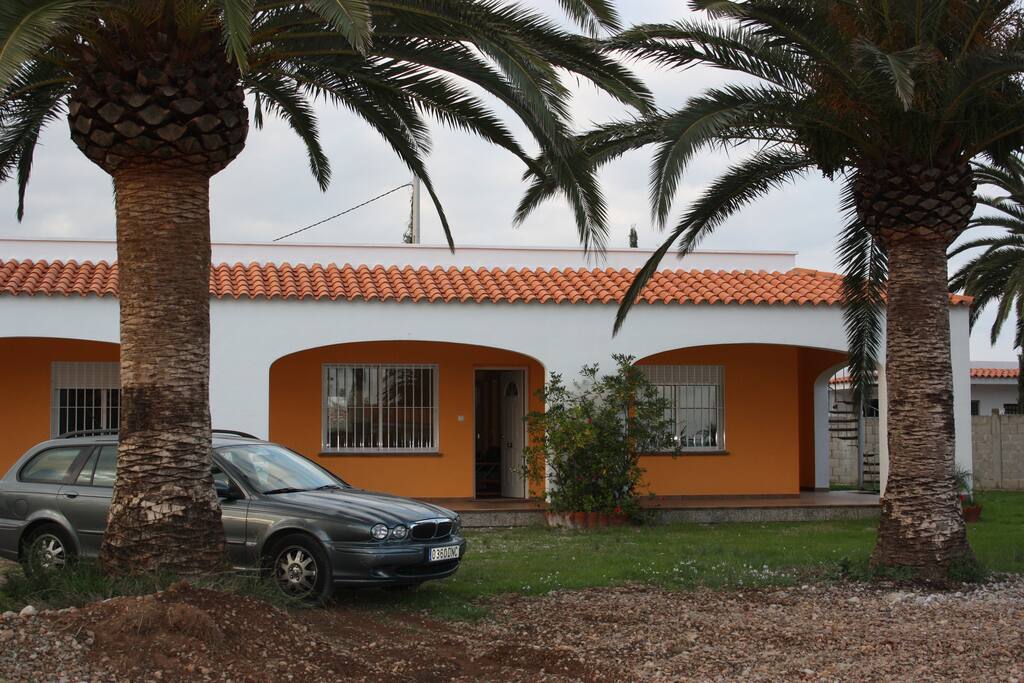 Jardin