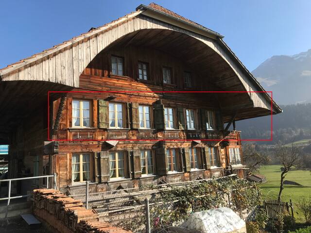 Apartment Wiriehornblick