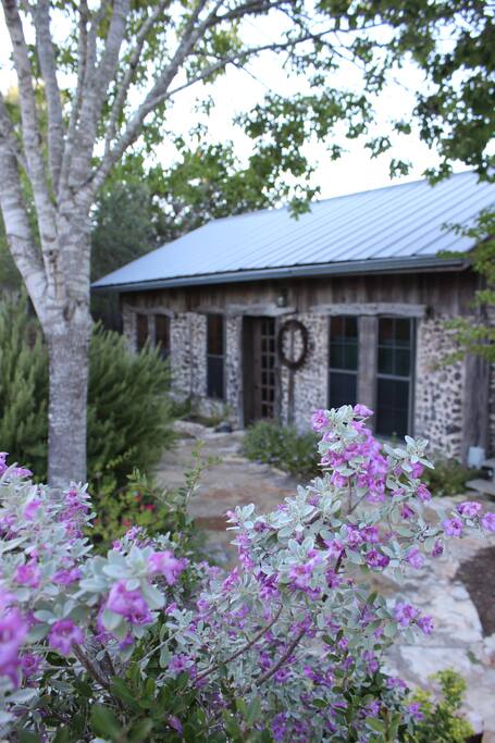 Welcome to the Cabin