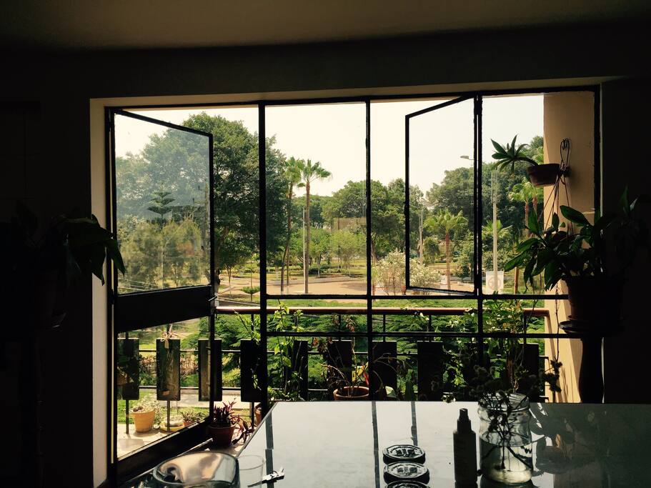 Park view