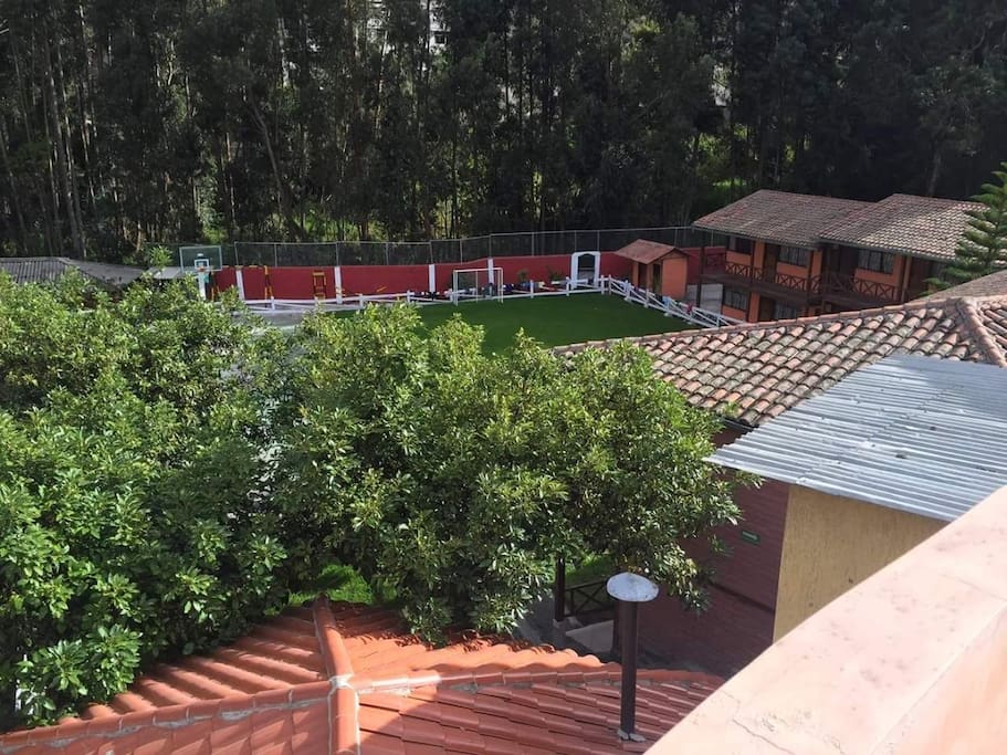 Rodeados de vegetación y un ambiente que proporciona tranquilidad