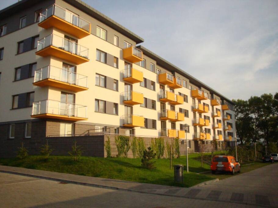 budynek/the building