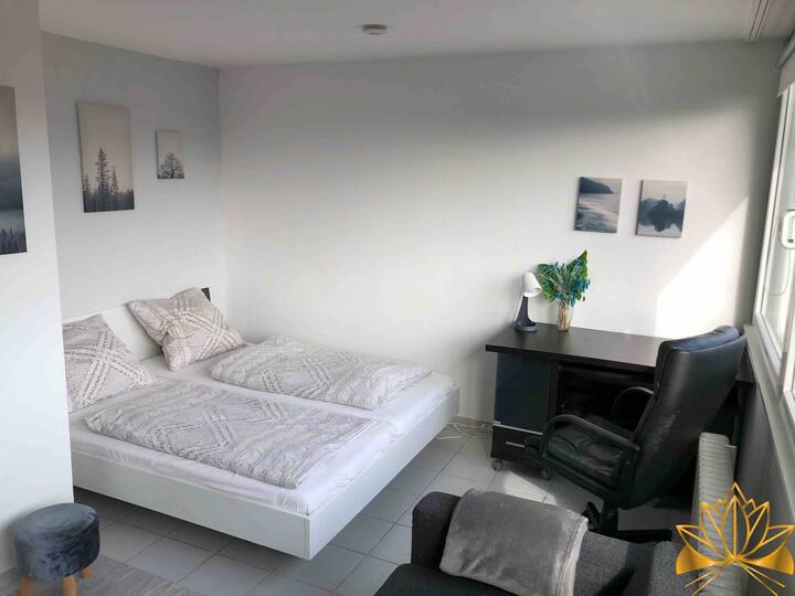 Münster Holiday Rentals & Homes Germany Airbnb