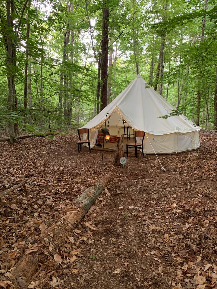 2 Best Glamping Spots Near Farmville, Virginia Trip101