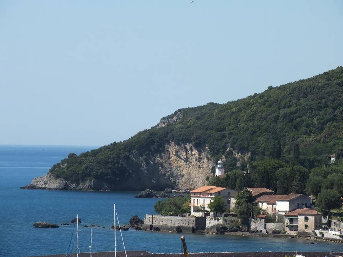 A coastal landscape reveals a tranquil bay bordered by lush green hills. A lighthouse stands among residential buildings, while boats are anchored in the clear blue water. The rocky shoreline merges with the sandy beach, creating a serene atmosphere.