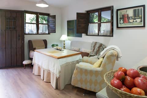 Apart Santa Cruz granada alfacar