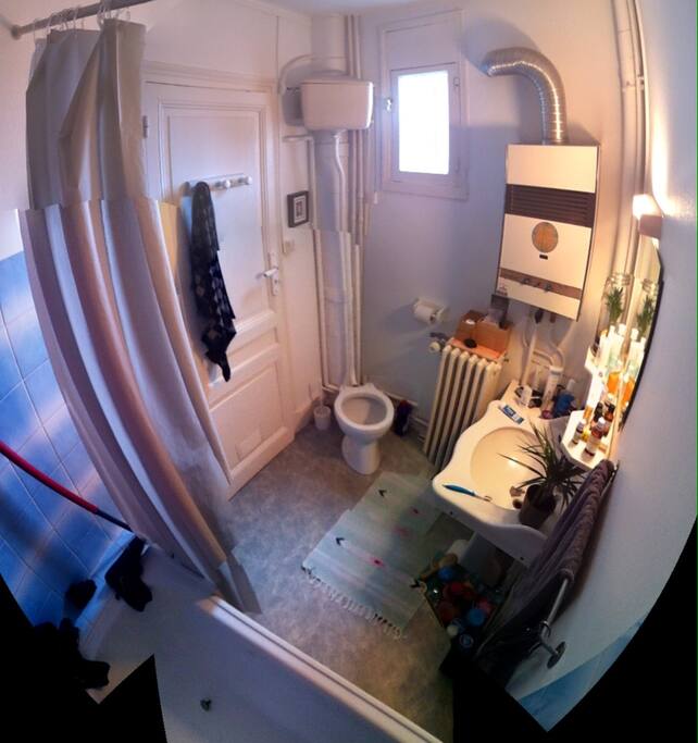 salle de bain : baignoire/douche, lavabo