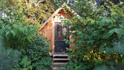 Star Camp - Nature Cabin