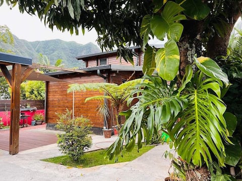 Grandpa's Mango Tree