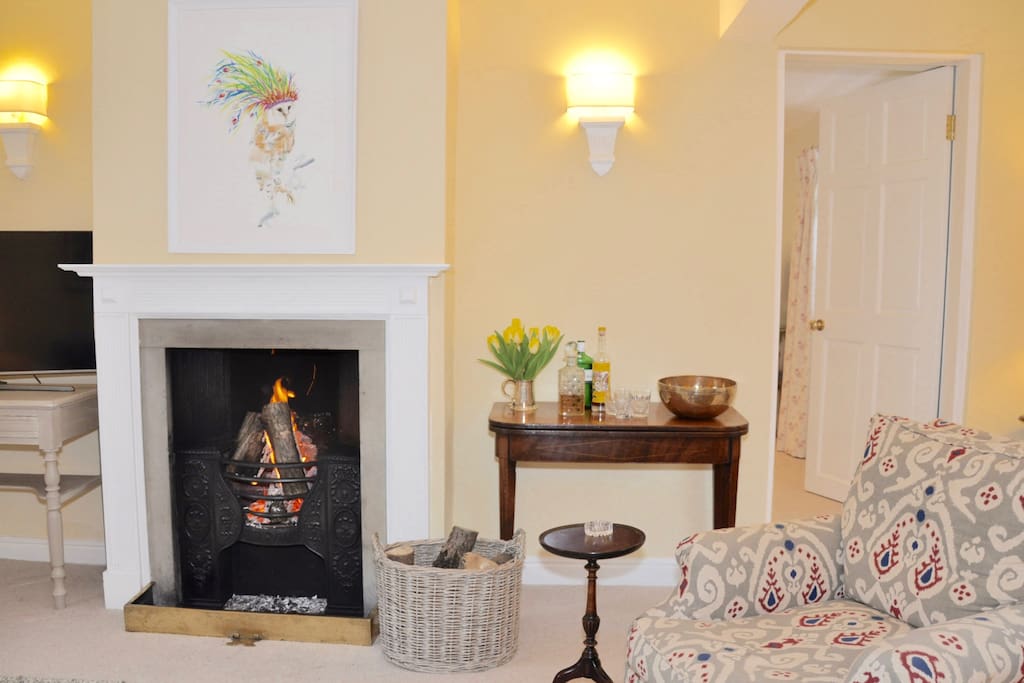 Log fire in the sitting room